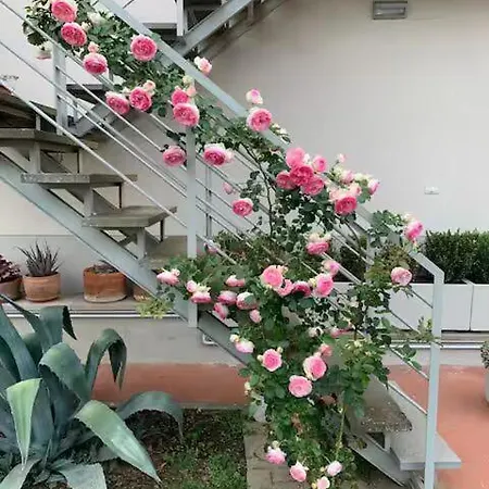 アパート La Casina Di Renzino Albergo